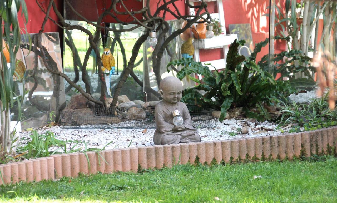 Maison Toulousaine Avec Jardin Tolosa Esterno foto