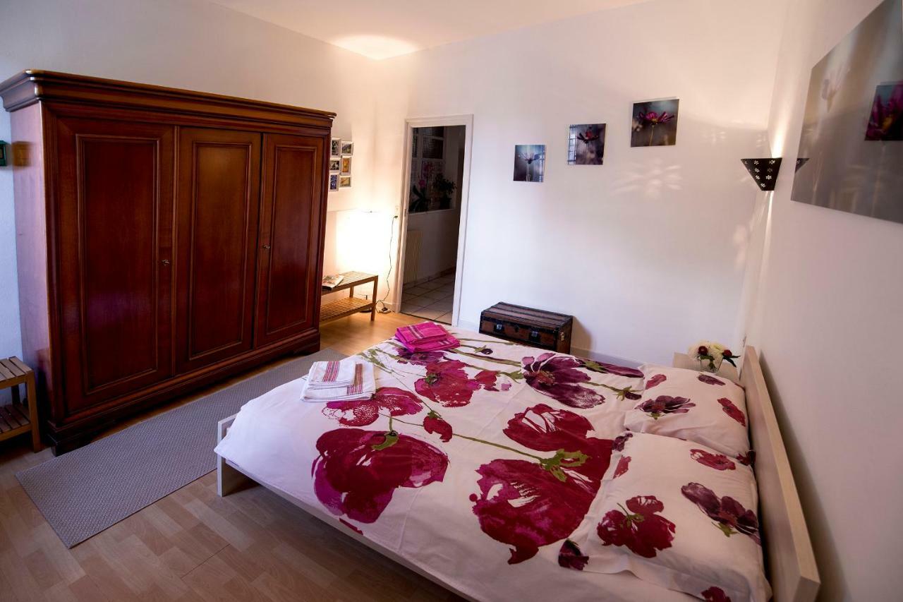 Maison Toulousaine Avec Jardin Tolosa Esterno foto
